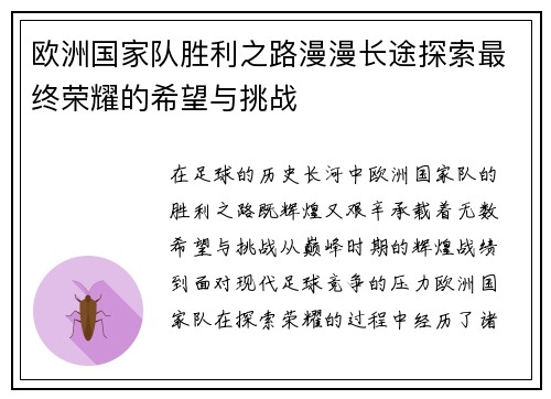 欧洲国家队胜利之路漫漫长途探索最终荣耀的希望与挑战