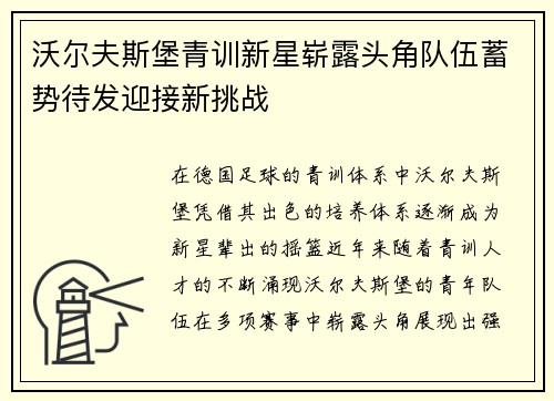 沃尔夫斯堡青训新星崭露头角队伍蓄势待发迎接新挑战
