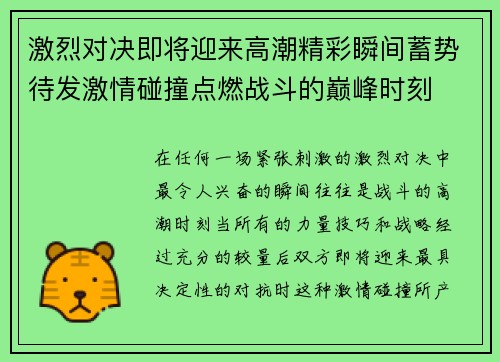 激烈对决即将迎来高潮精彩瞬间蓄势待发激情碰撞点燃战斗的巅峰时刻