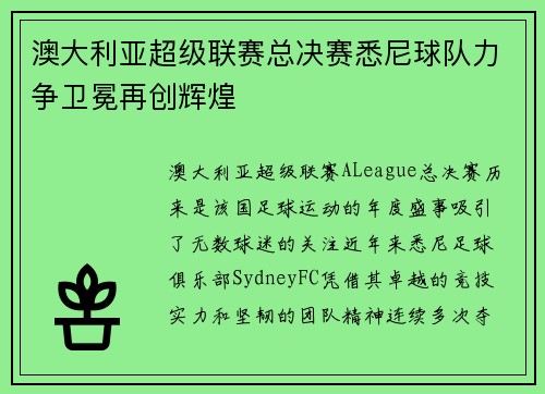 澳大利亚超级联赛总决赛悉尼球队力争卫冕再创辉煌