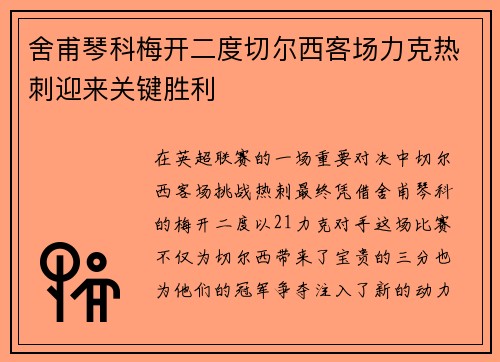 舍甫琴科梅开二度切尔西客场力克热刺迎来关键胜利